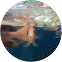 B-E Tan profile picture